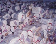 �`֥���z���B(y��ng)